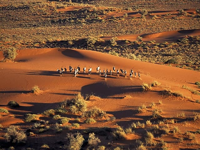 Gondwana-Collection-Kalahari-Experience
